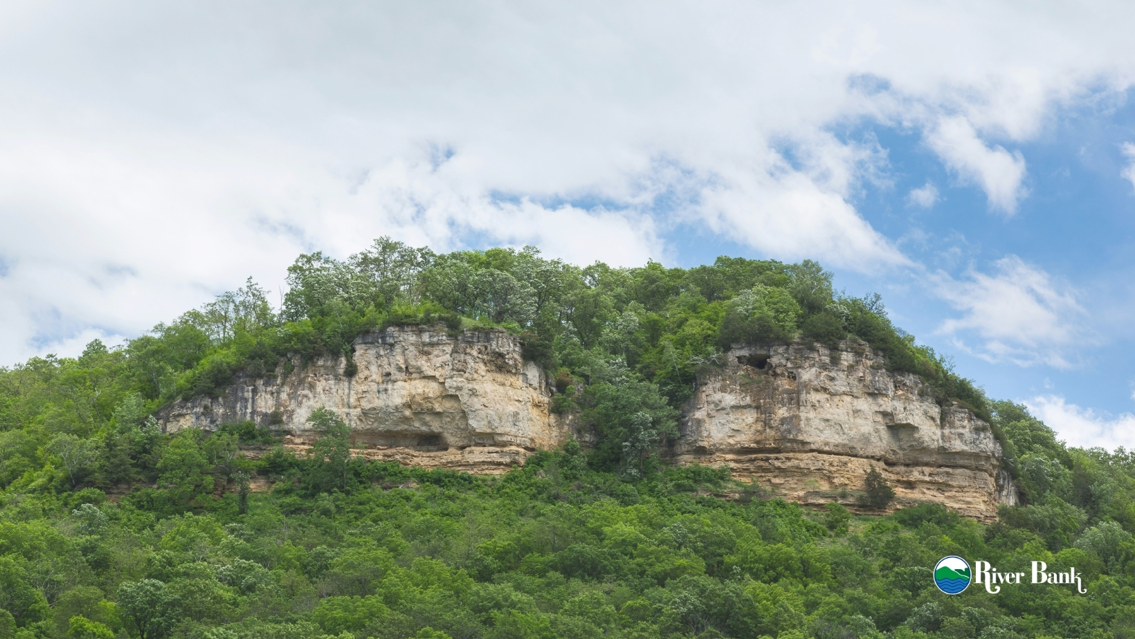 Bluffs Picture