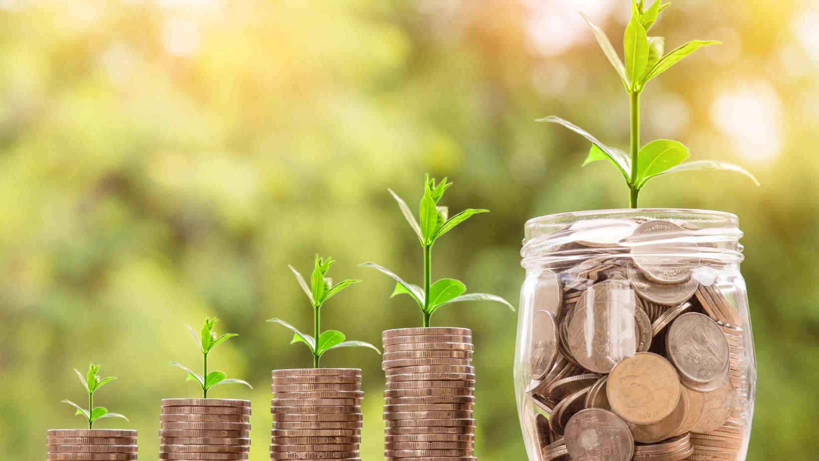 seedlings growing out of stacks of coins